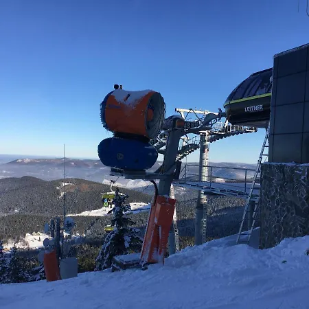 Zlota Palma Lądek-Zdrój