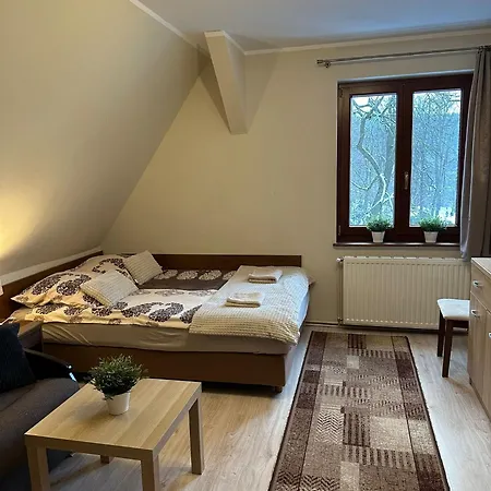 公寓 Zlota Palma Lądek-Zdrój