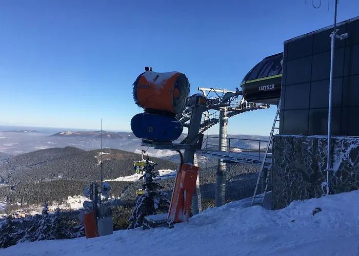 Zlota Palma Lądek-Zdrój