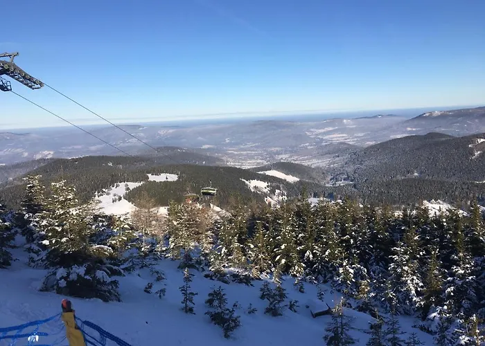 アパート Zlota Palma Lądek-Zdrój